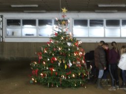 img_0684_web